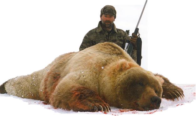 Western Alaska Brown Bear